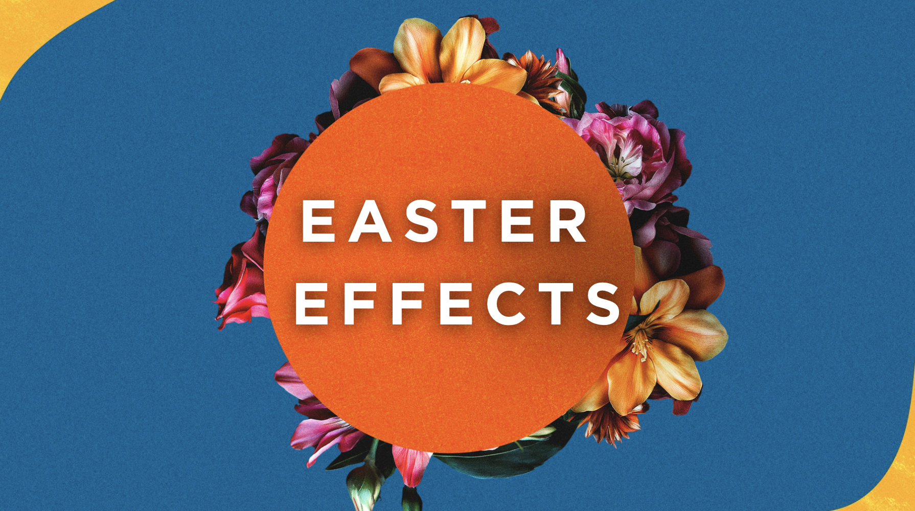 The Easter Effects | Part 1 Image